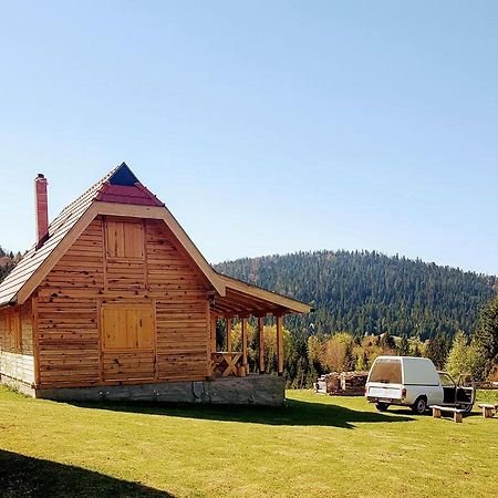 Brvnara Tara Villa Bajina Basta Buitenkant foto