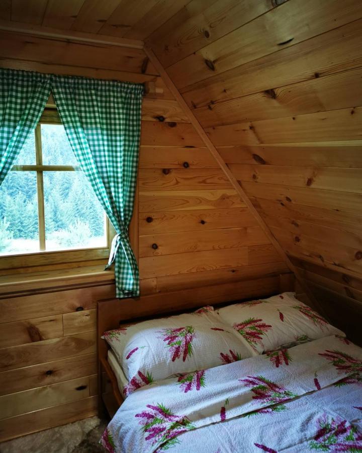 Brvnara Tara Villa Bajina Basta Buitenkant foto