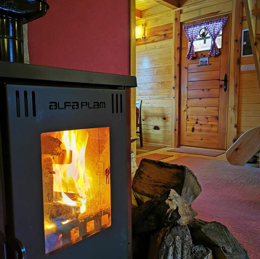 Brvnara Tara Villa Bajina Basta Buitenkant foto