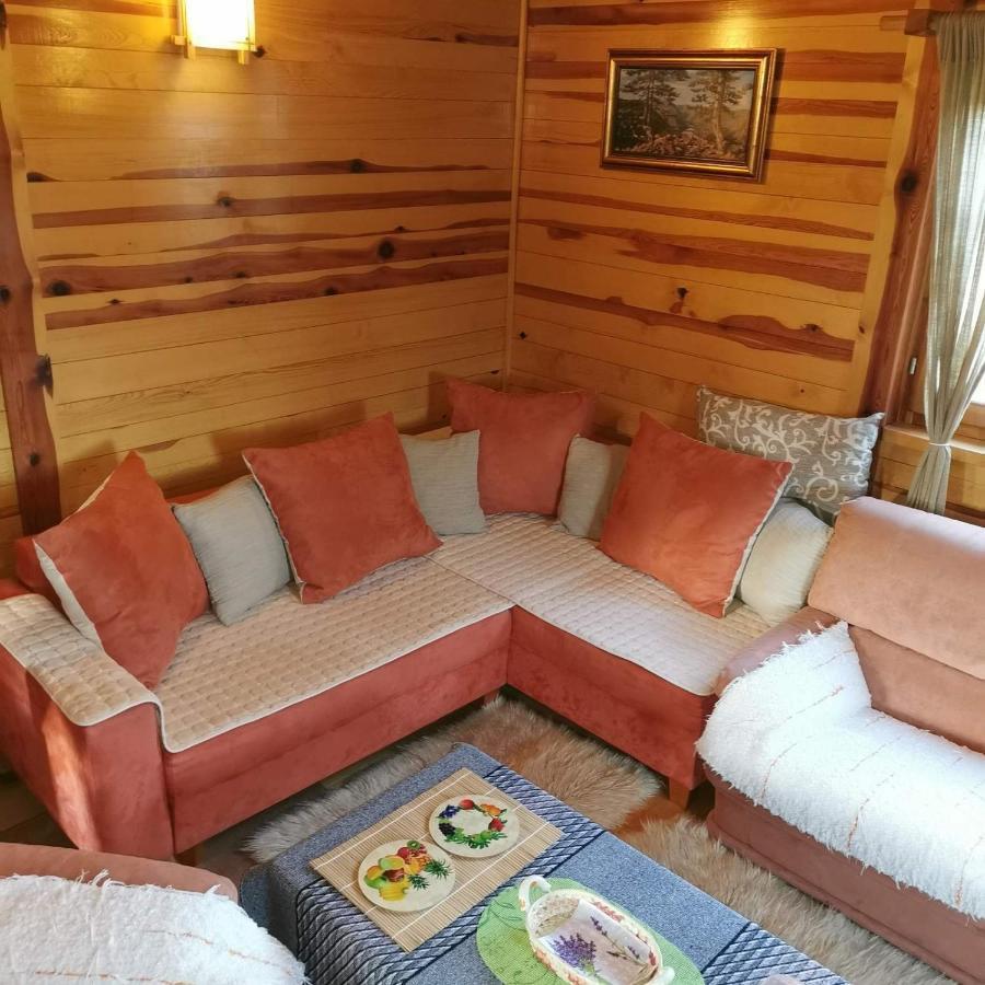 Brvnara Tara Villa Bajina Basta Buitenkant foto