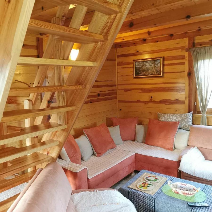 Brvnara Tara Villa Bajina Basta Buitenkant foto