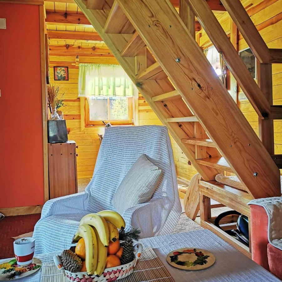 Brvnara Tara Villa Bajina Basta Buitenkant foto