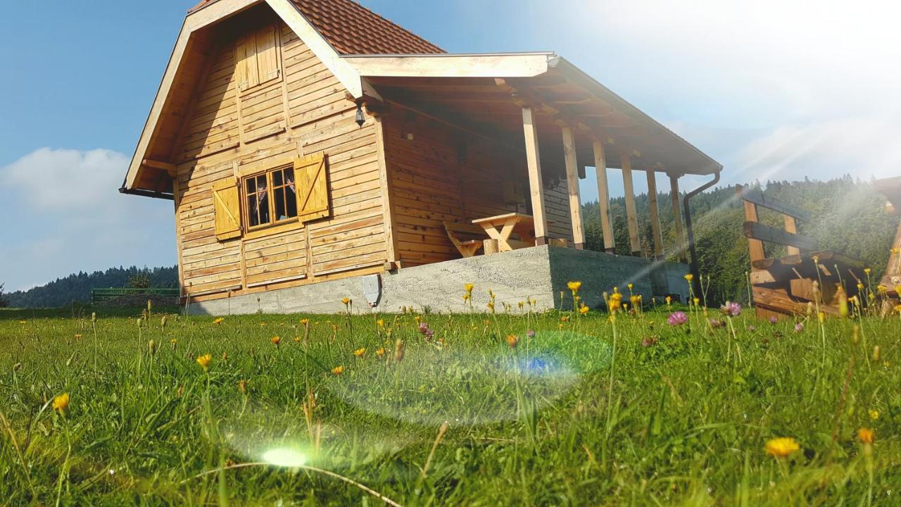 Brvnara Tara Villa Bajina Basta Buitenkant foto
