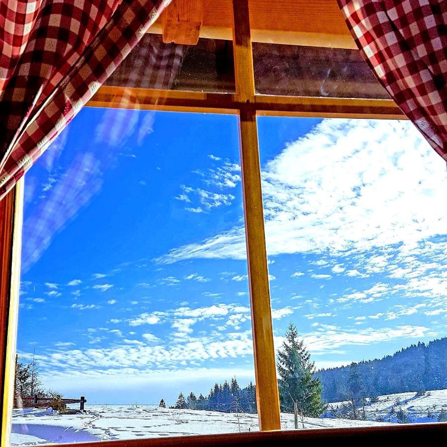 Brvnara Tara Villa Bajina Basta Buitenkant foto
